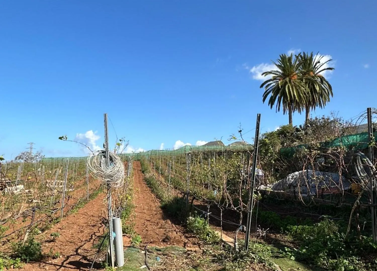 Villa Hacienda Flores La Victoria de Acentejo